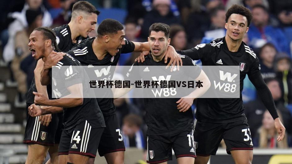 世界杯德国-世界杯德国VS日本